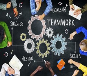 amvi- Team working skills